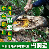 Shangri-La Wild Tree Cave Honey 1000g Tibetan Honey on the Tip of the Chinese Tree Cave Honey Shunfeng