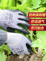 School Farm Gloves Anti-Slip Anti-Stab Anti-Cut Gardening Tubal Glove Abrasion Resistant Anti-Prick Gloves Agricultural Labour Plus-grass Weeding