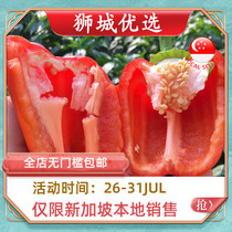 (Vegetable) Red bell pepper 1kg Singapore local delivery