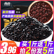 Glutinous black rice Black 2 pounds of whole grain porridge Purple rice glutinous rice meal replacement Northeast brown rice meal 10 fat low rice rice