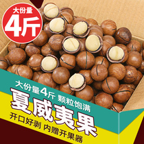 Bibizan Macadamia nuts Dried fruits Nuts Daily office fried goods Bulk snacks Snack Snack Snack food