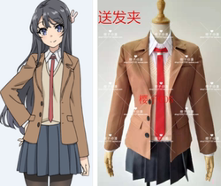 Rascal Does Not Dream of Bunny Girl Senpai Sakurajima Mai Cosplay costumes