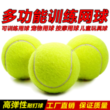 Теннис Тренировочный мяч Детский теннис Собака Устойчивость к укусам