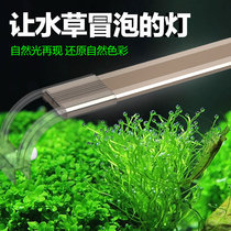 Sensen high light transparent fish tank lamp aquatic straw lamp fish tank LED light waterproof aquarium lighting LED support lamp