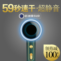 German hair dryer household high-power negative ion hair care small portable hot and cold wind does not hurt hair