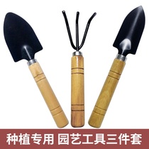Multi-meat plant planting shovel Rake Son Garden Art Tool Iron Shovel Iron Shovel Planting Flowers Planting Vegetables Outdoor Dug Earth Flower Shovel
