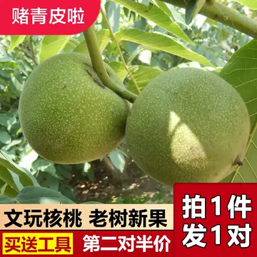 文玩核桃狮子头-文玩核桃狮子头促销价格、文玩核桃狮子头品牌- 淘宝
