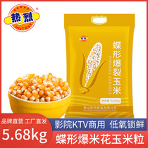 Warm butterfly popcorn corn kernels 5 68kg corn popcorn commercial cinema KTV special raw material corn