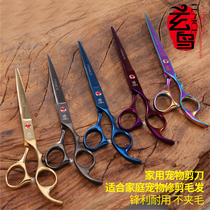 Xuanbird pet color household scissors haircut shears straight scissors 7 inch professional pet beauty tool Teddy