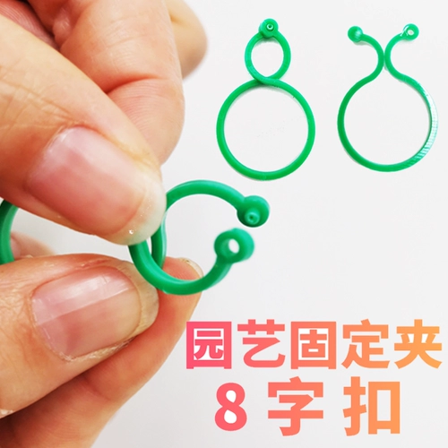 Садоводческая 8 -словесная пряжка, пряжка с бабочкой Большой восьмерка -Шаррактерная растение в комплекте и привязан к росту Fujinman. Фиксированная тыква