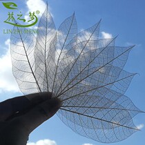 Rubber leaf vein dry leaf specimen bookmarks diy flower dry flower children handmade lighting forever flower drop glue props