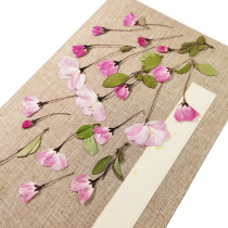 Rose Begonia flower sage specimen dried flower bag student handmade material diy Thanksgiving Christmas New Year greeting card