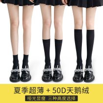Calf socks womens summer thin black stockings JK socks over knee long stockings spring and autumn socks half mid stockings