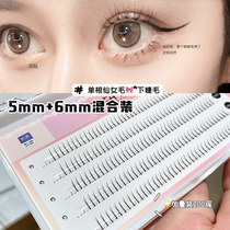 Yinnai false eyelashes natural simulation A- type fairy hair single cluster hair segmented grafting mixed Assembly