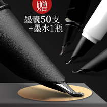 Pen students use art pen tip curved head thin gold body calligraphy pen to practice calligraphy with positive posture primary school students exchange ink bag black and white adult hard pen beginner signature boy girl office hand-painted