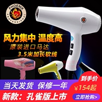 Fire Phoenix hair dryer 8960 high power hair salon dedicated hair dryer barber shop hot and cold home