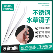Stainless steel round head non-slip large tweezers aquatic water tank tweezers insect clip super long tweezers clip