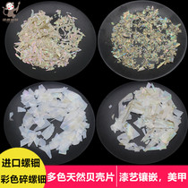 Jiasheng painting material Paint painting material Natural shell abalone shell shell mother-of-pearl fragments Paint painting inlaid material Nail shell pieces