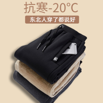 Integrated suede thickened pure cotton cotton pants male lamb suede casual outwear winter daddy mid-aged straight tube pants