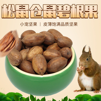Bagan fruit squirrel grain feed pine nut marmot staple food hamster snack nut 250g