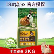 British Burgess Buggs cattle to high fiber adult rabbit grain 2kg pet rabbit feed grain