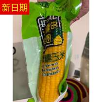  New Northeast agricultural sister-in-law Xiaonuos ideal yellow glutinous corn Sweet glutinous sticky corn cob water vacuum instant corn 10