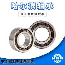 HRB Ha axis 3200ATN Double row angular contact ball bearing 3201 3202 3203A 2RZ TN Promotion