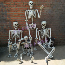 Halloween props Decorations Skeleton skeleton model Secret room haunted house horror scary ghost head horror hanging ghost pendant