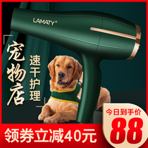 Pet hair dryer High-power hair pulling quick-drying Large dog dog bath blow drying Hair blowing artifact Water blower