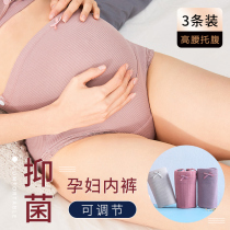 Pregnant women underwear pregnancy high waist abdomen cotton large size early third trimester womens underwear home