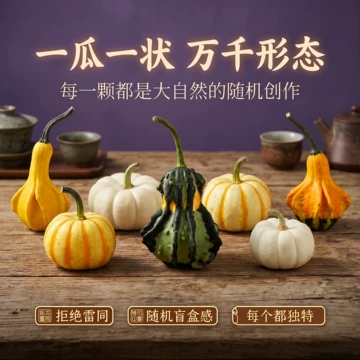 墨西哥文玩葫芦-墨西哥文玩葫芦促销价格、墨西哥文玩葫芦品牌- 淘宝