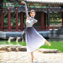 After the Feifa Dance Chinese Classical Dance Performance Body Practice Ballet Dance Dress Dance Dress Teachers Body
