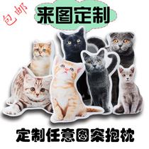 diy custom pillow 3d photo custom pet pillow Cat dog shaped to map simulation gift can be printed pillow