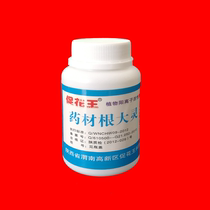 Medicinal root Daling capsule ginseng Scutellaria baicalensis Pinellia Lotus fangfeng wolfberry enhanced root development radish strong root