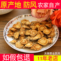 Fang Feng Chinese herbal medicine 500g can be used as Yupingfeng powder to prevent sweat Moon dispel dampness non-wild Guan Fengfeng herbs