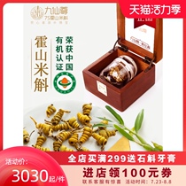 Jiu Xian Zun authentic Huoshan Dendrobium rice Dendrobium maple Dou Jing dried strips selected gift box 10g bottle non-iron