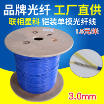 Armored optical fiber line single-mode single-core double 4-core 3mm optical cable whole roll blue scattered anti-rat anti-pull-resistant stainless steel protective cover multi-mode optical cable indoor no connector can be customized