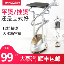  Yangtze hanging ironing machine Household small steam iron Hand-held ironing machine Hanging vertical ironing machine Ironing clothes ironing