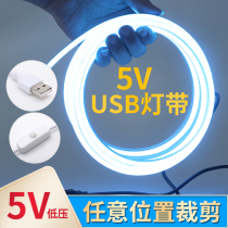 led rechargeable light with 5v low voltage ultra bright battery usb flexible neon silicone soft light strip Unplugged