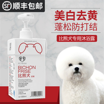 Bixiong shower gel White hair special whitening de-yellowing pet dog bath bath liquid sterilization deodorant dog daily necessities