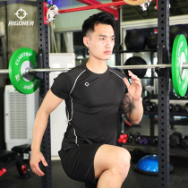 Quasi fitness clothes mens suit sports quick-drying clothes tight training suit running summer gym blue ball equipment