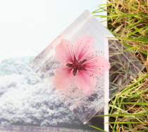 Sansheng III Peach Blossom Perpetual Flower Specimen Valentine's Day Tanabata Creative Romantic Birthday Gift diy Jewelry Ornaments