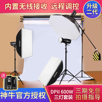Shenniu photography lamp DPII-600W 800W 1000W 400W 300W filled light studio flash set