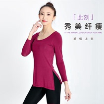 Dance clothing female adult suit National modern dance costume body top dance yoga teacher classical dance practice uniform