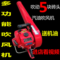 Portable high-power gasoline hair dryer Wind fire extinguisher Forest fire extinguisher Road leaf smoke tube snow blower