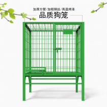 Special large dog cages dog cages outdoor cages golden hair dogs dog cages large kennel training base