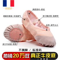 Dance shoes Children female soft bottom practice adult body Classical Chinese ballet men and women children dance cat paw red and white