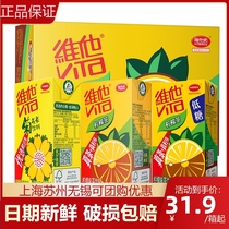 vita vita Lemon Tea Chrysanthemum tea 250ml * 16 boxes of Vitasoy tea drinks many provinces