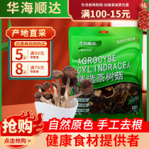 Huahai Shunda Selected Tea Tree Mushroom 150g Bags Without Umbrella Tea Tree Mushroom Ningde Specialty Dry Soup Ingredients