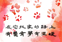 Help stray animals find a home (Postcard)
